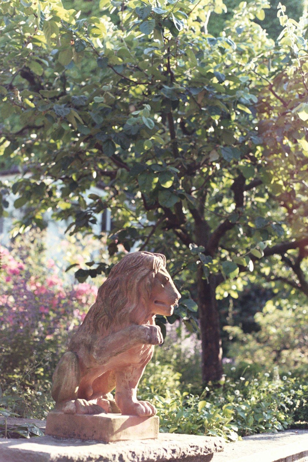 brown lion statue near green tree during daytime