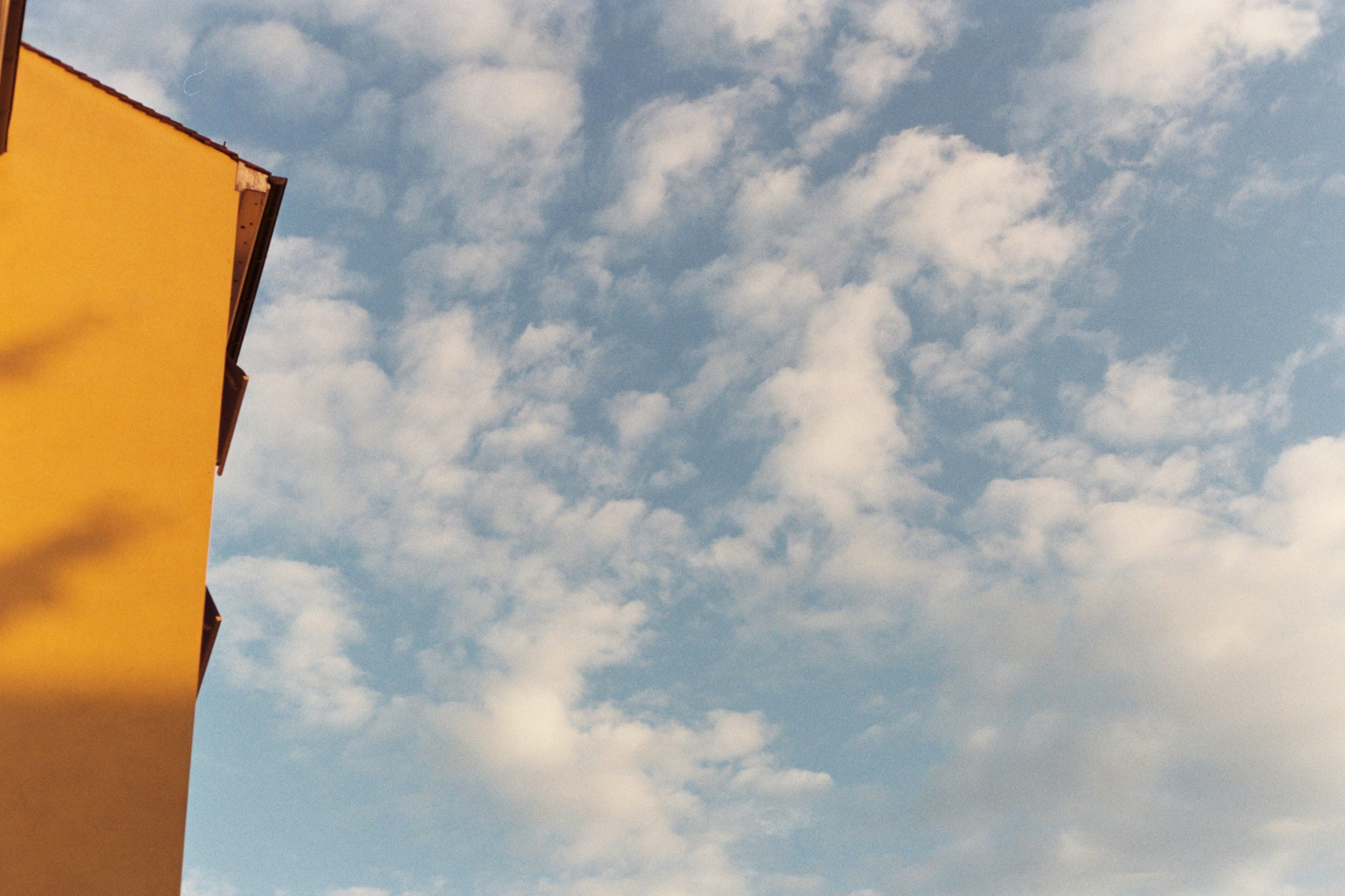 Photo by laurenceziegler