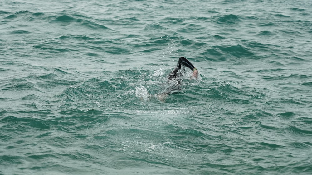 person swimming in the sea during daytime