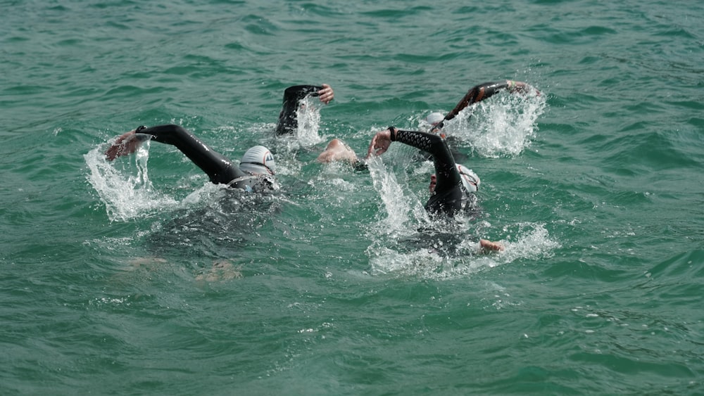 2 dolphins in body of water during daytime