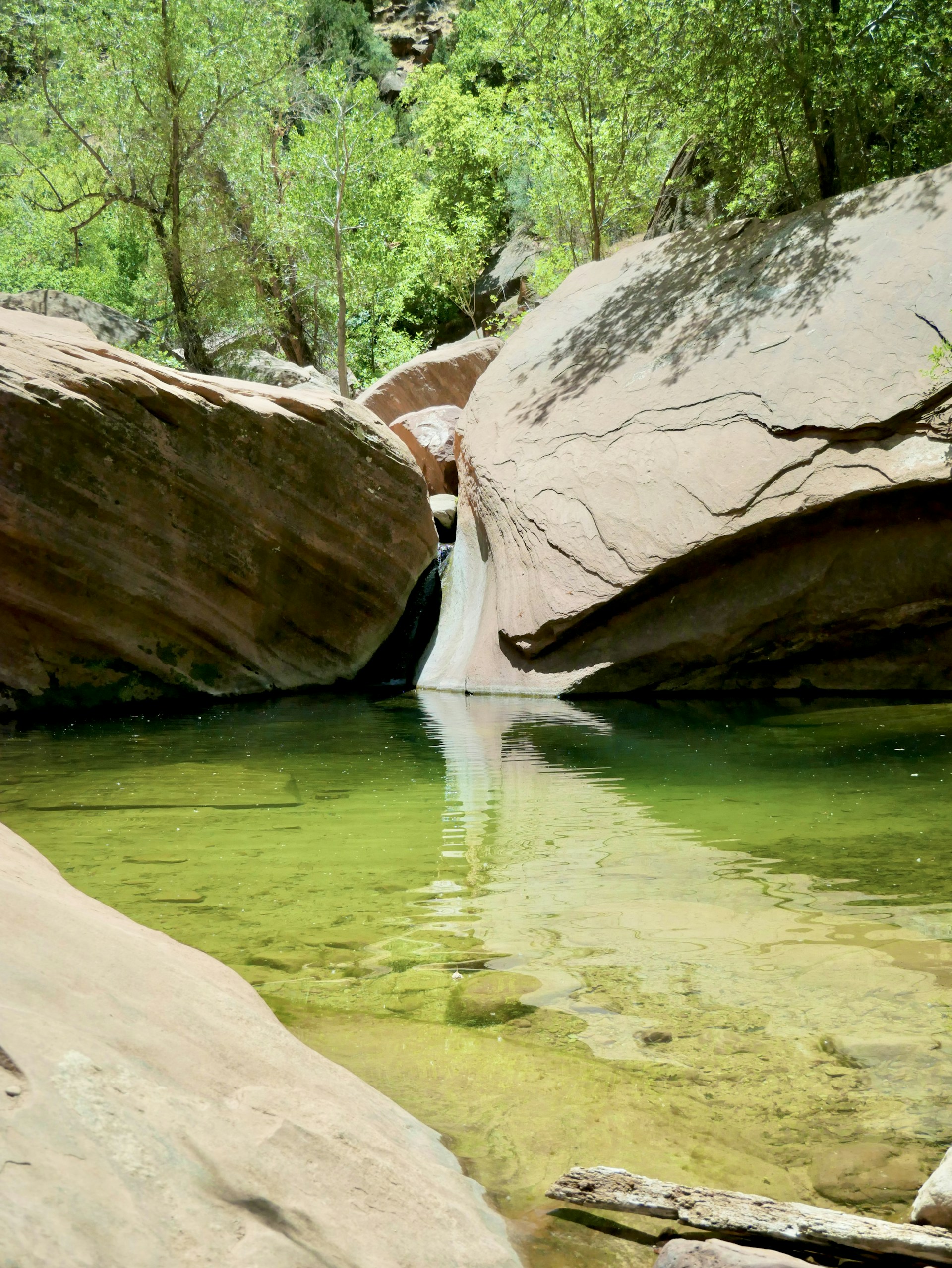 woman wearing yellow long-sleeved dress under white clouds and blue sky during daytime