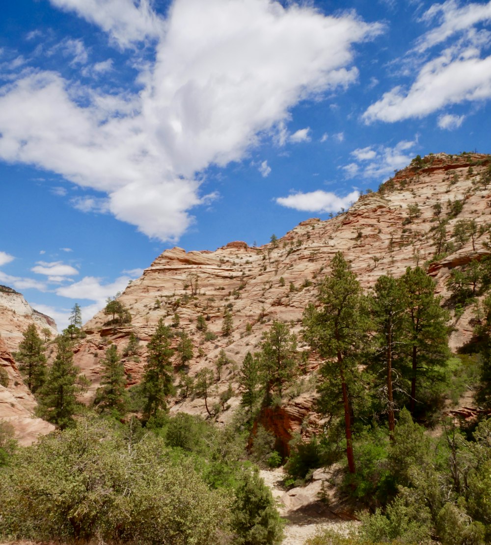 green trees near brown rocky mountain under blue and white cloudy sky during daytime