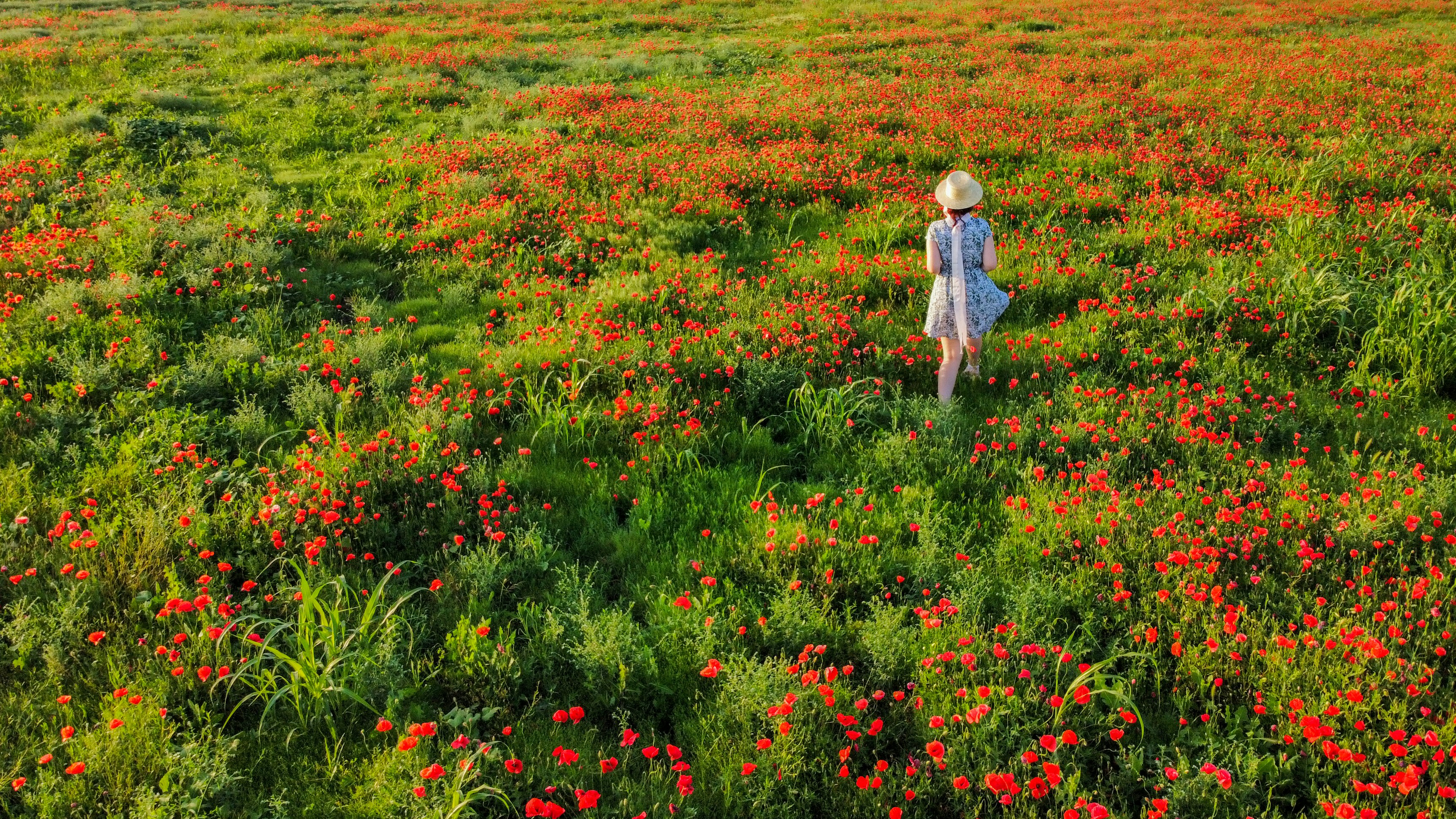 girl in white and blue dress walking on green grass field during daytime