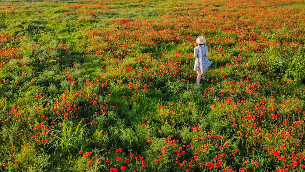 girl in white and blue dress walking on green grass field during daytime