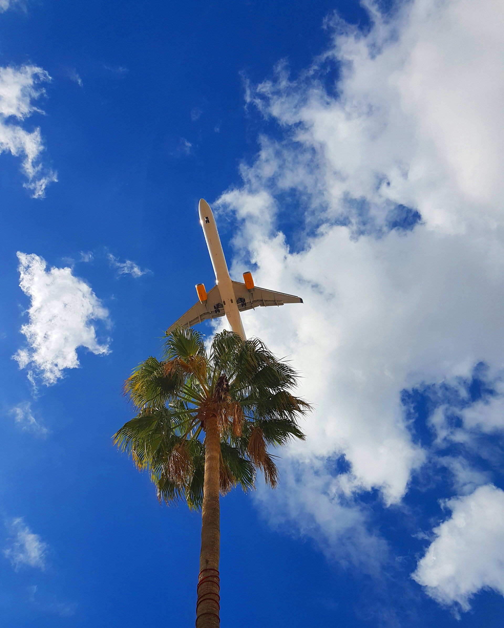 woman wearing yellow long-sleeved dress under white clouds and blue sky during daytime