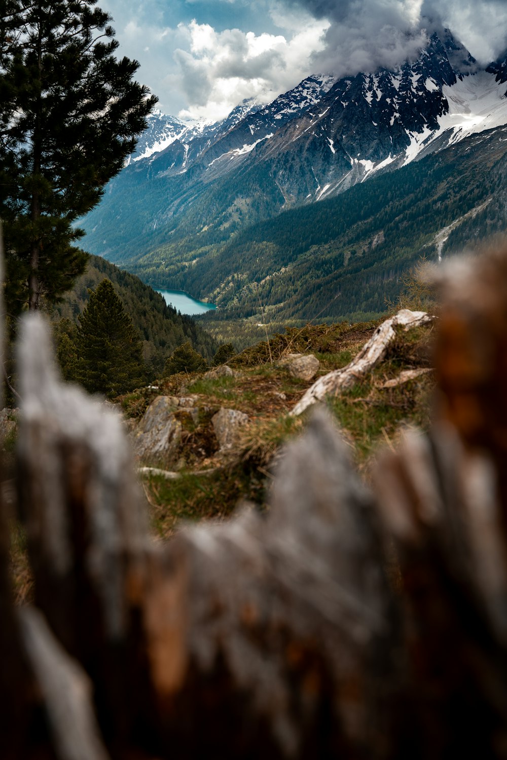 green trees on mountain during daytime