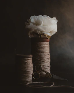 white rose on brown thread