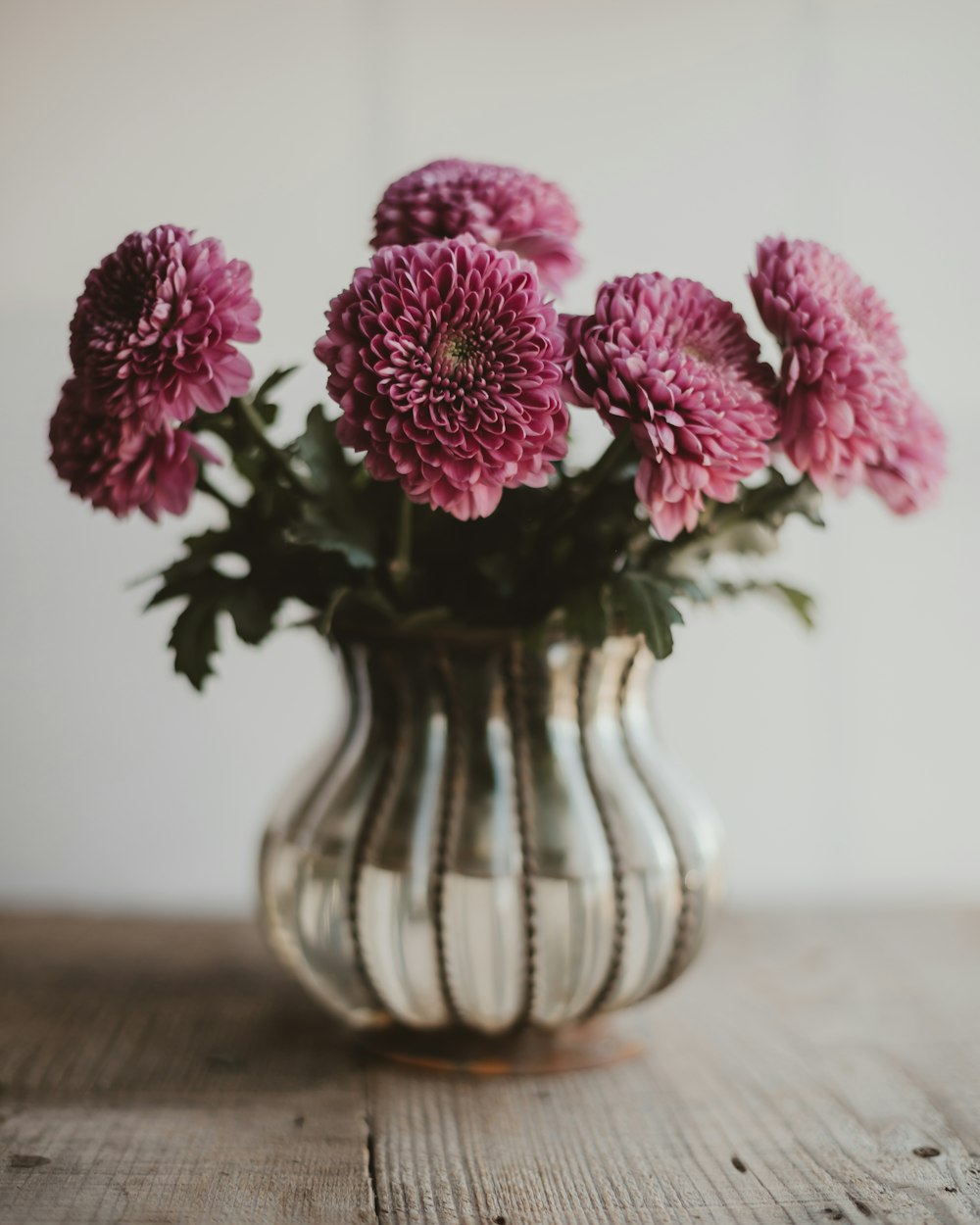 pink flowers in white ceramic vase