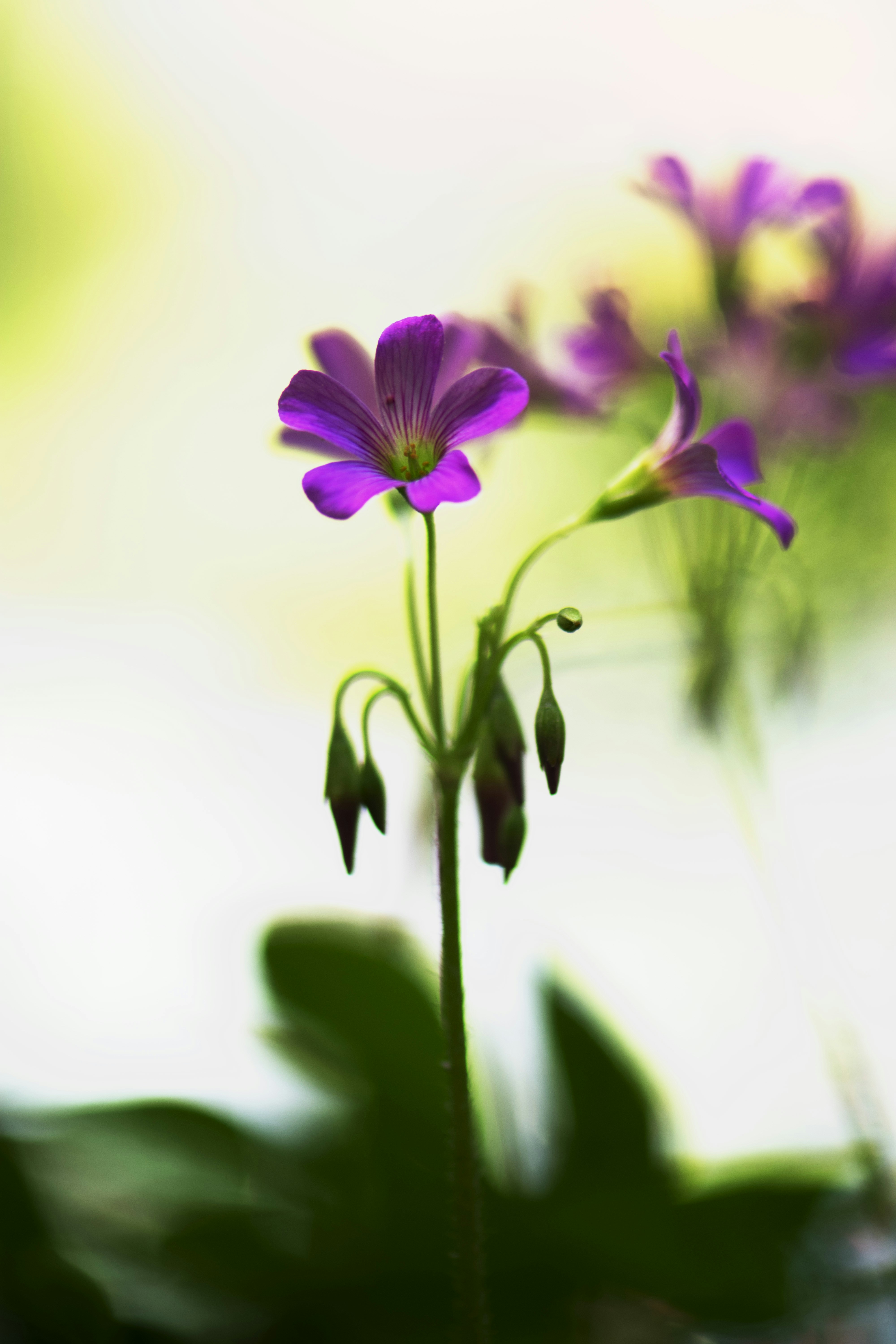 Photo by karimelmissiry