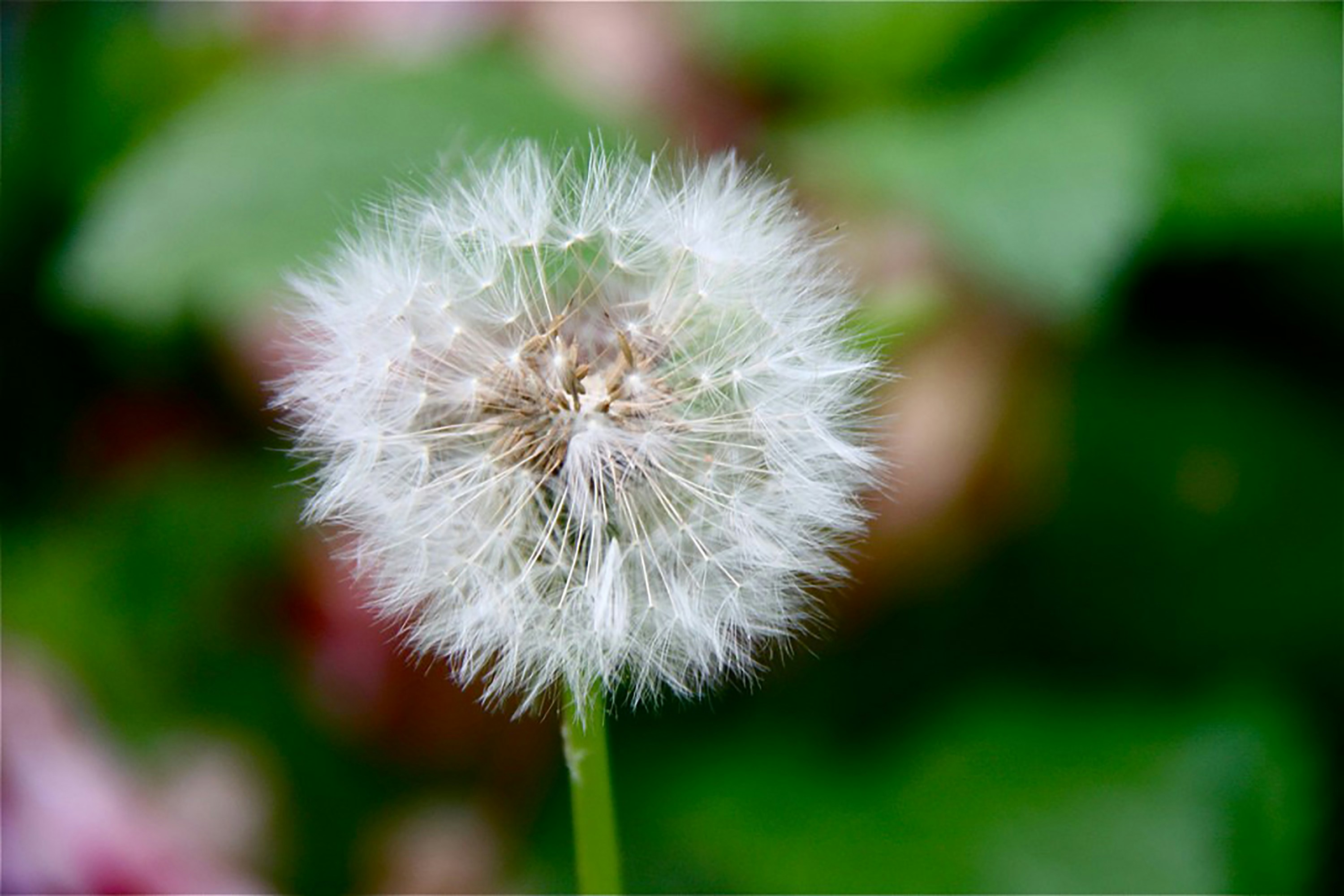 Photo by sixthcitysarah