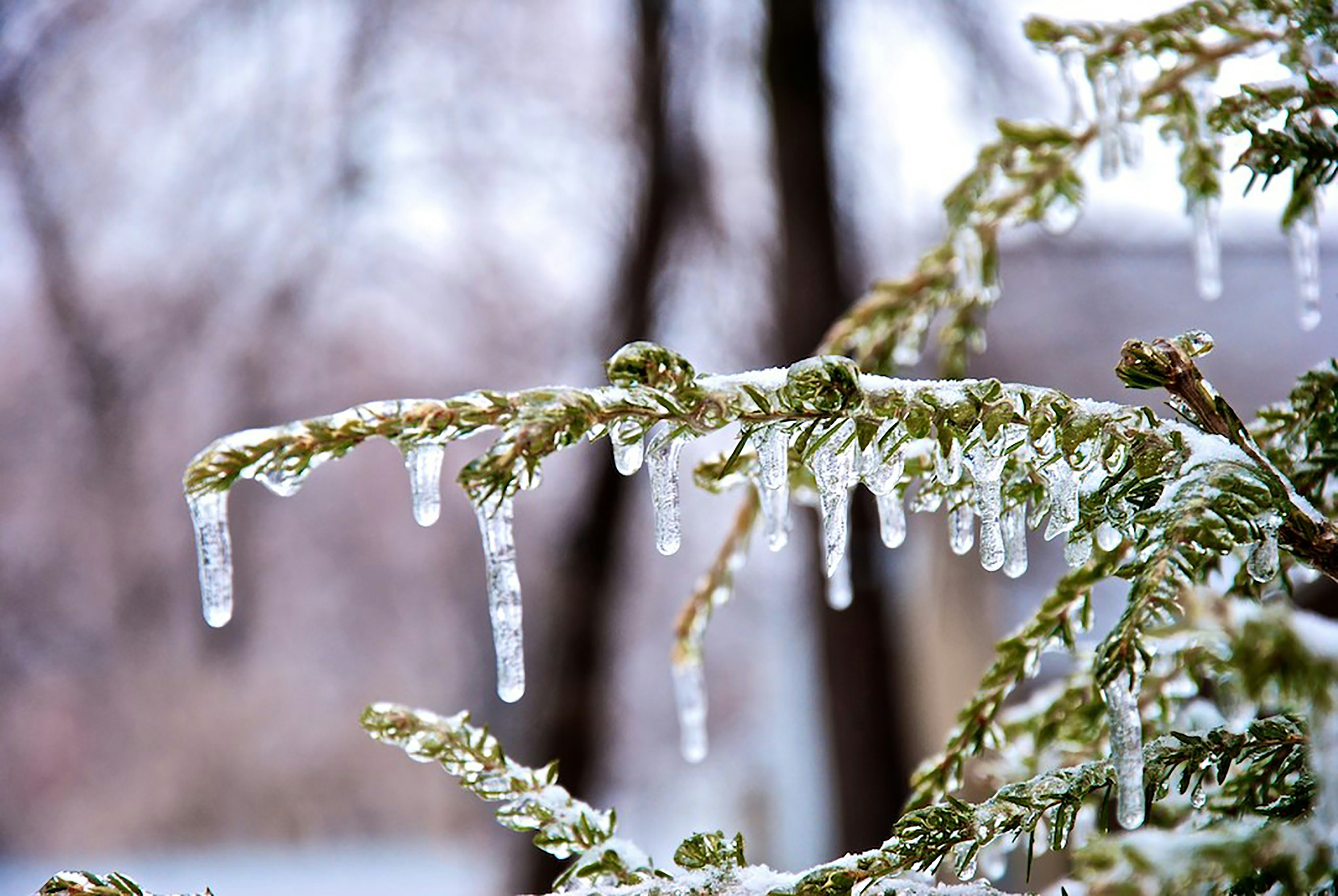 Photo by sixthcitysarah