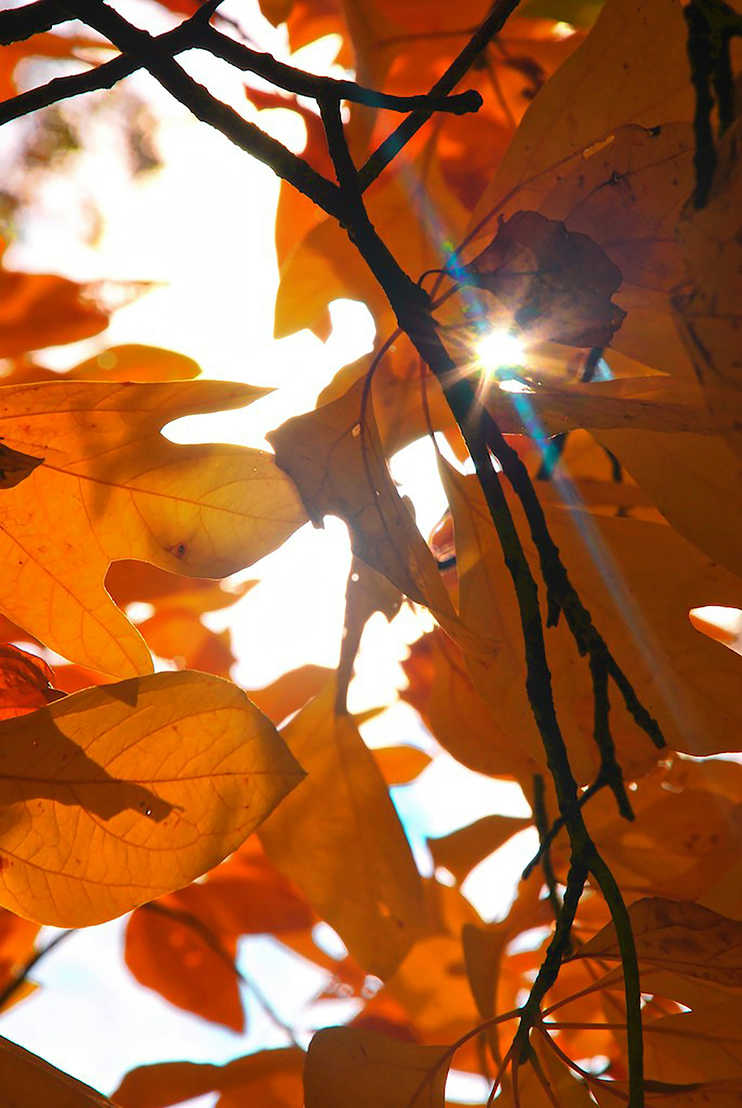 Photo by sixthcitysarah