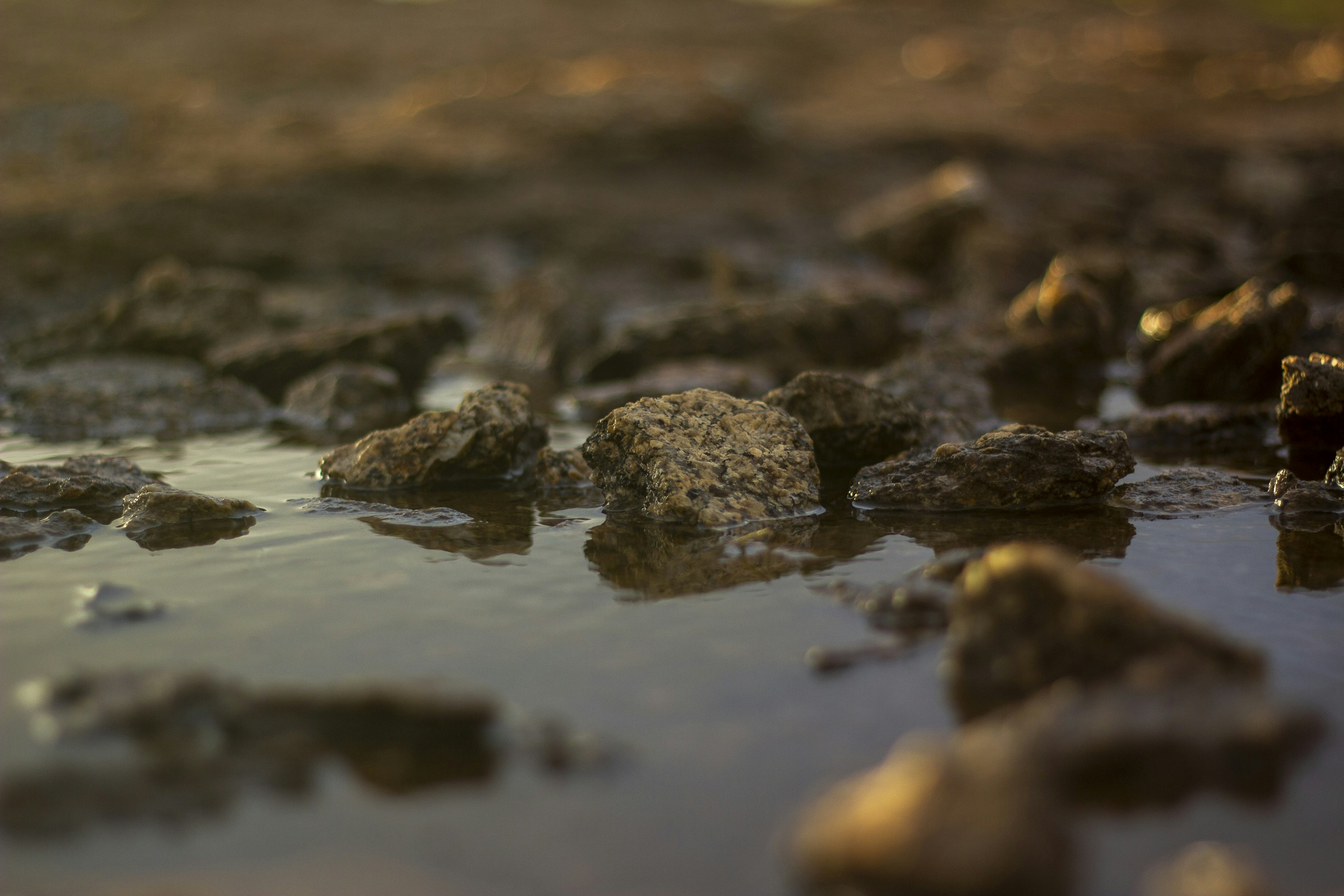 Photo by jjensen_photogrpahy