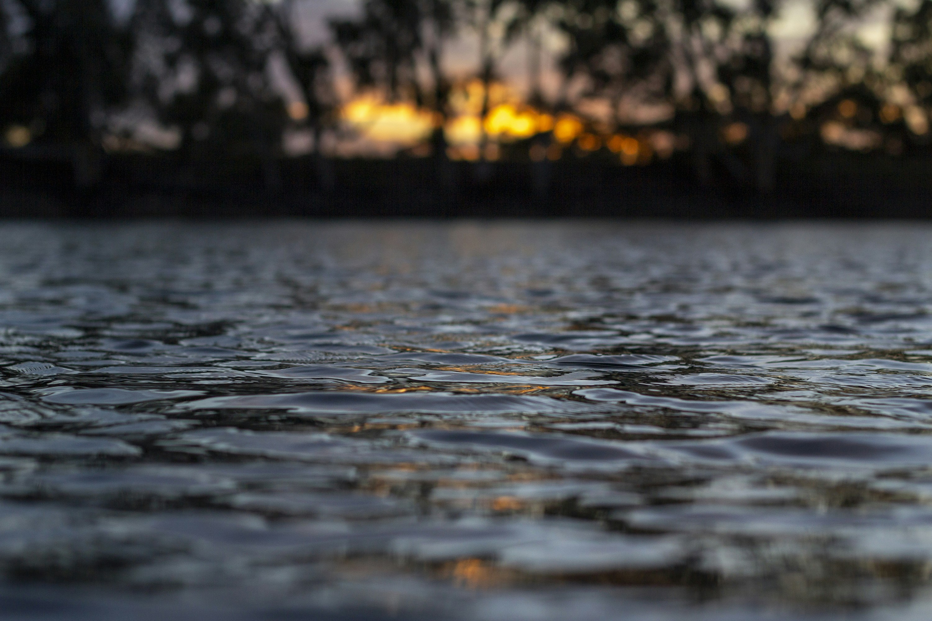 Photo by jjensen_photogrpahy