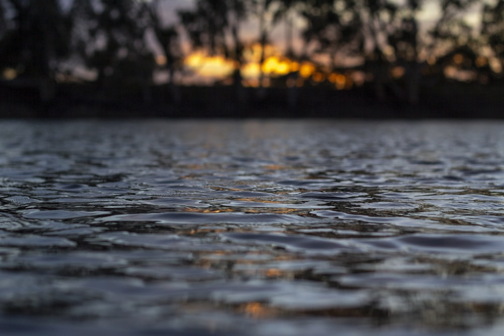 body of water during sunset