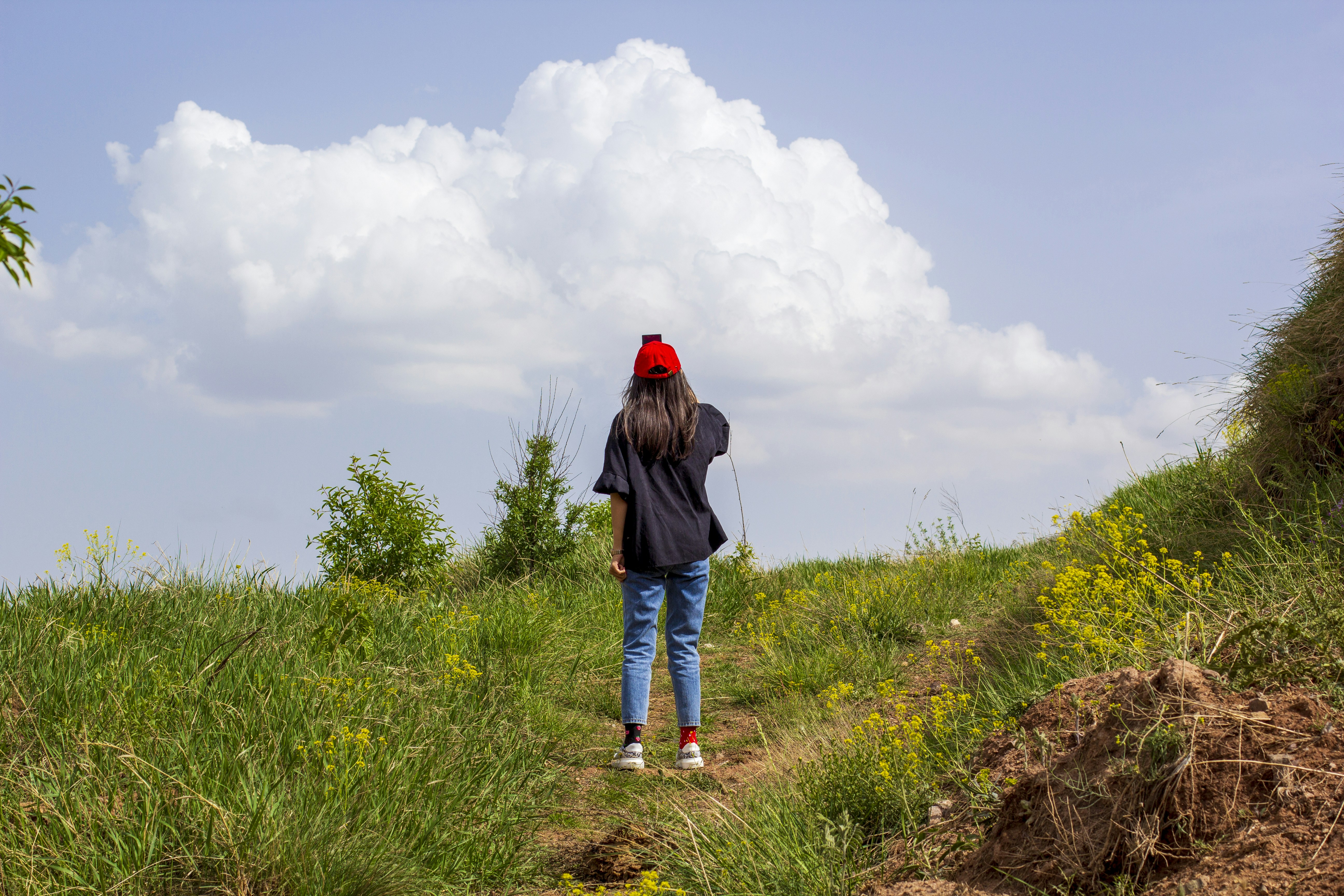 Photo by asalmashkoori