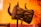A traditional drum with a cylindrical shape is lashed with ropes, adorned on either side with horn-like structures. The object is positioned against a warm, orange background that gives the image a vibrant and festive feel.