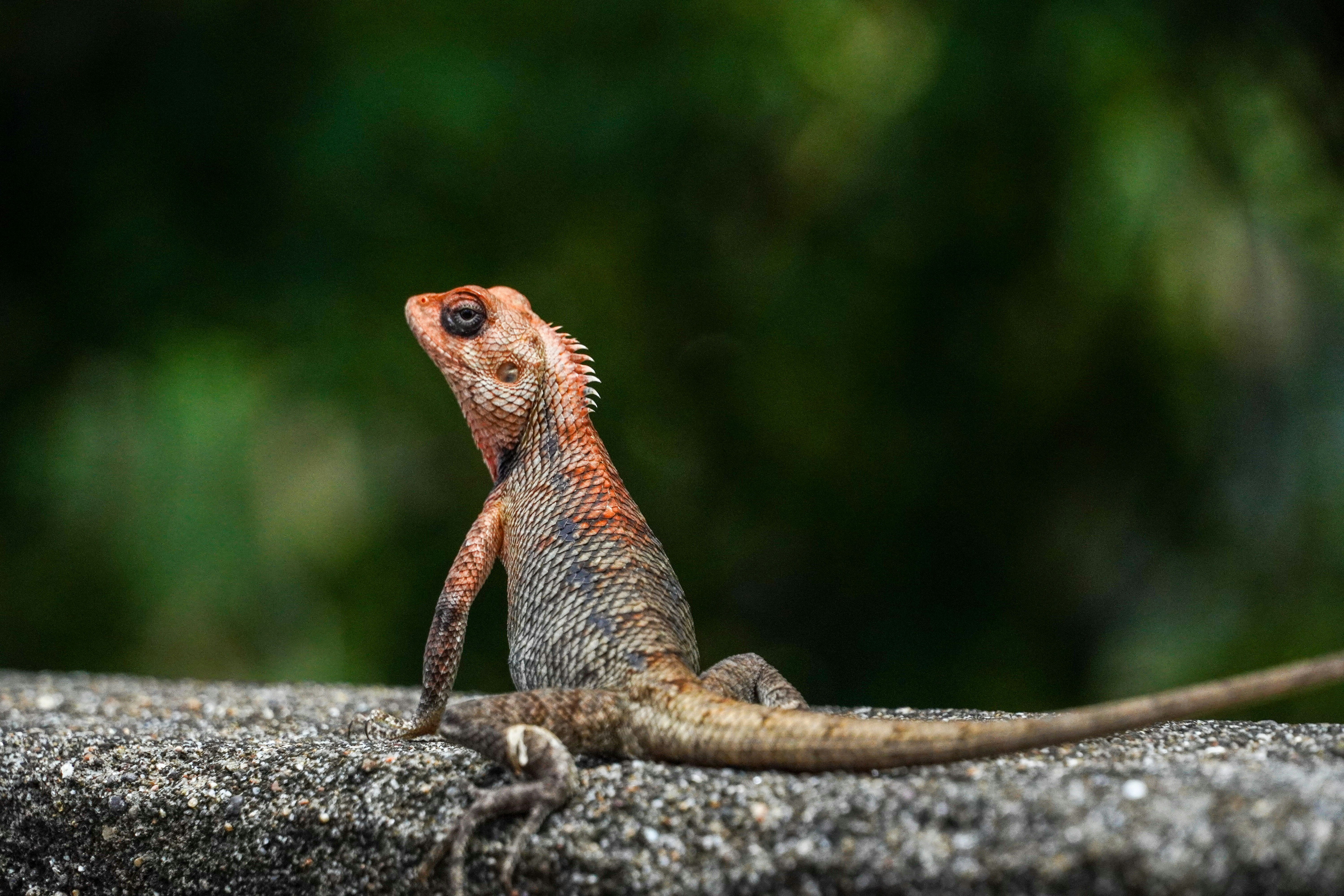 Photo by mr_karangia