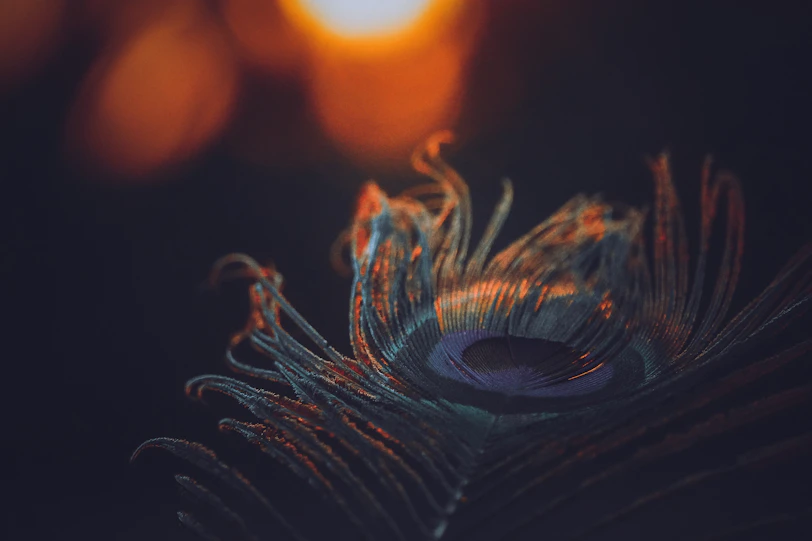 Aura