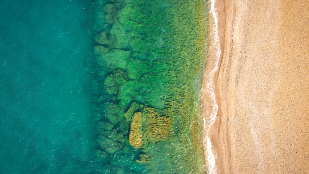 aerial view of green and brown land