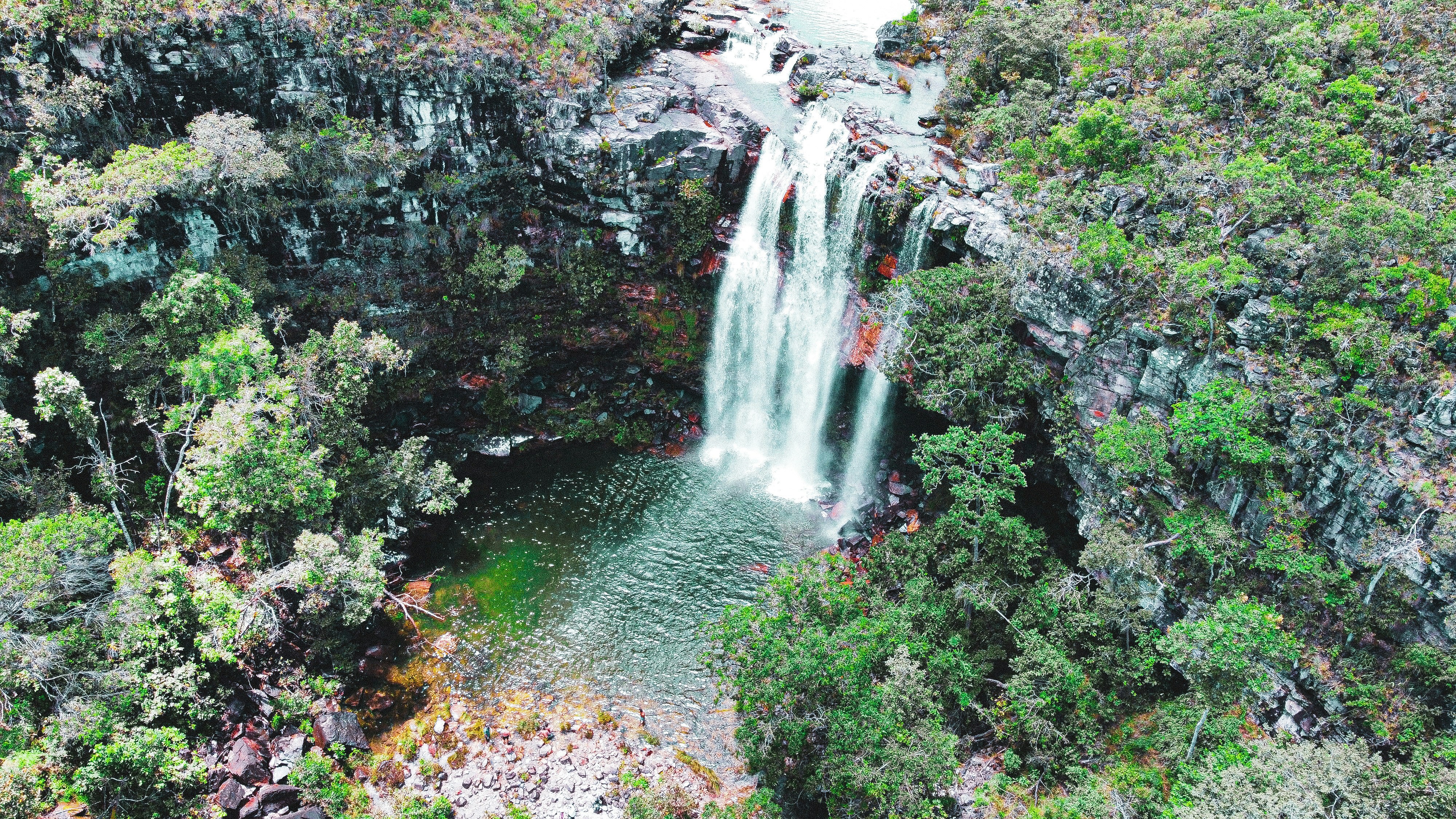 water falls in the middle of the forest