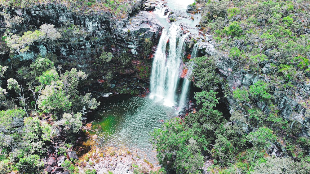 L’eau tombe au milieu de la forêt