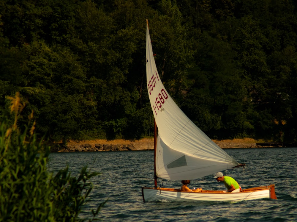 white and red sail boat on body of water during daytime