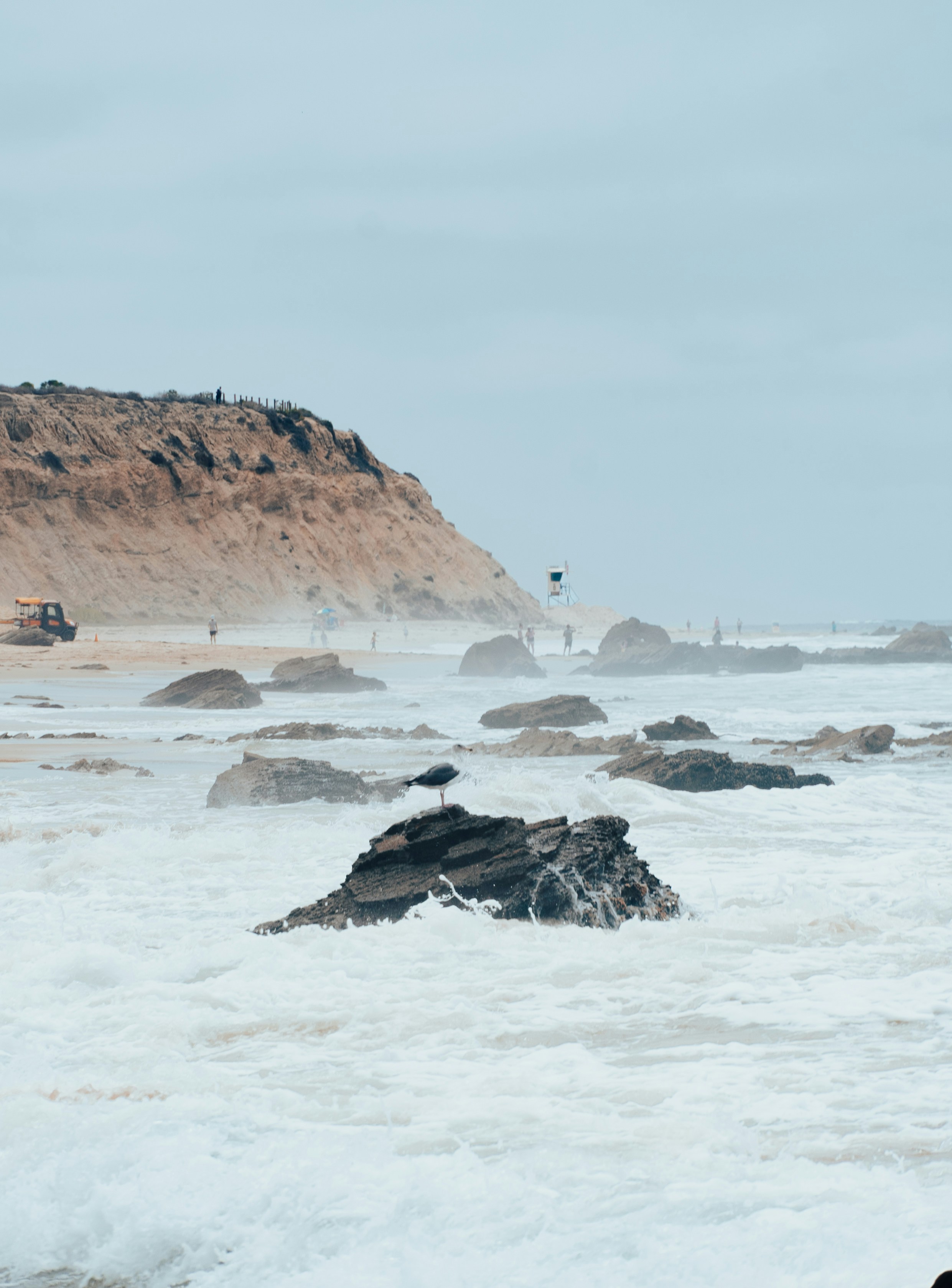 Photo by jeffersonsees