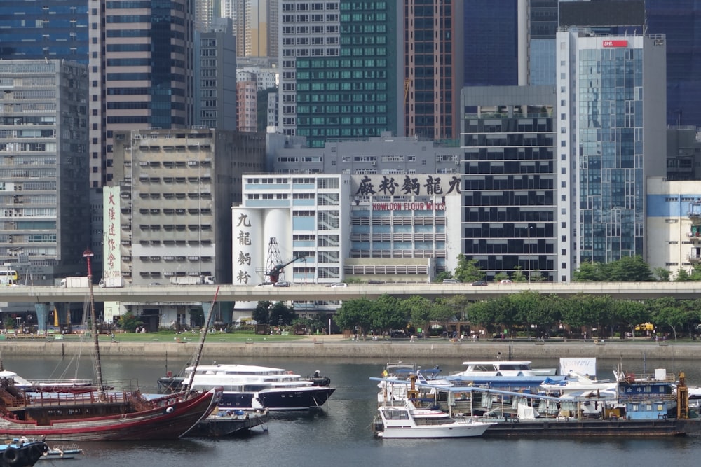 white and red boat on dock during daytime