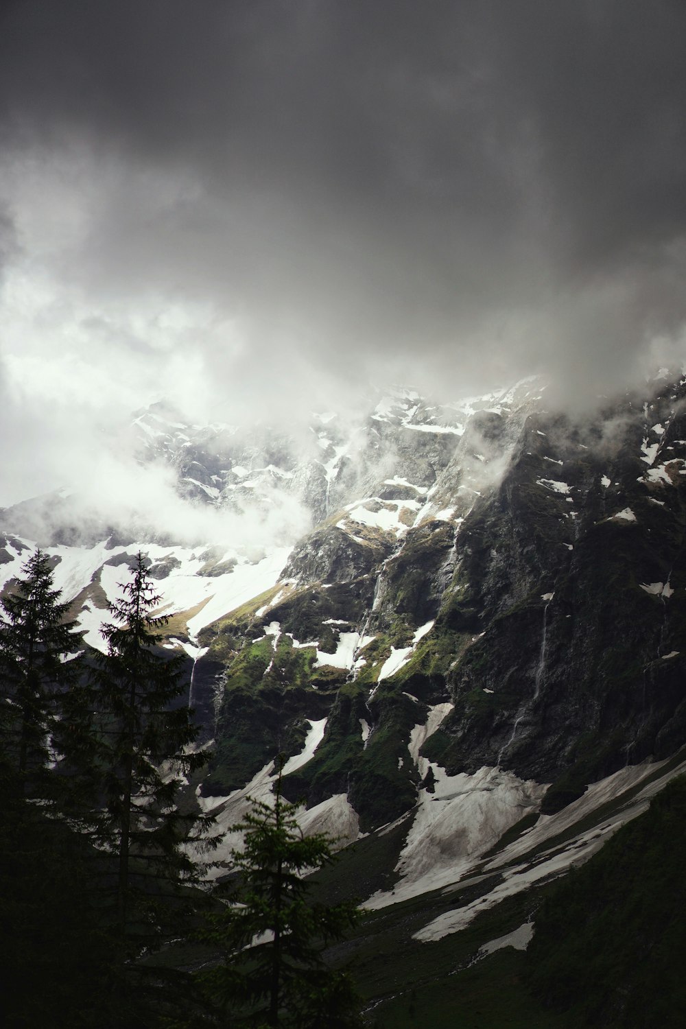 green trees near snow covered mountain during daytime