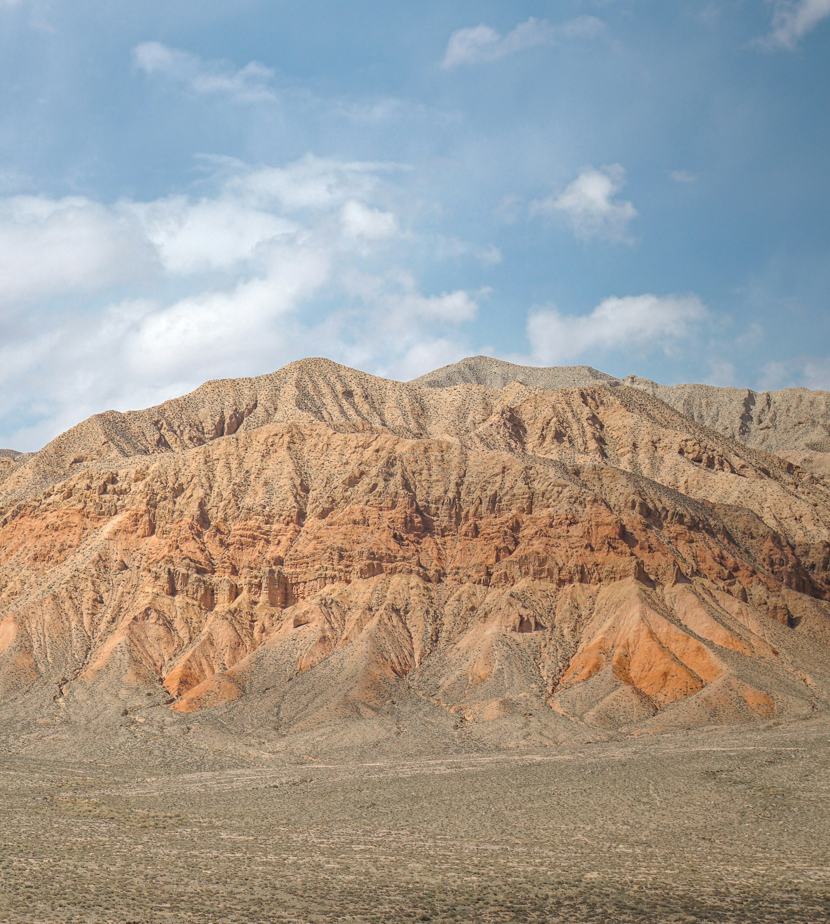 Photo by juniperphoton