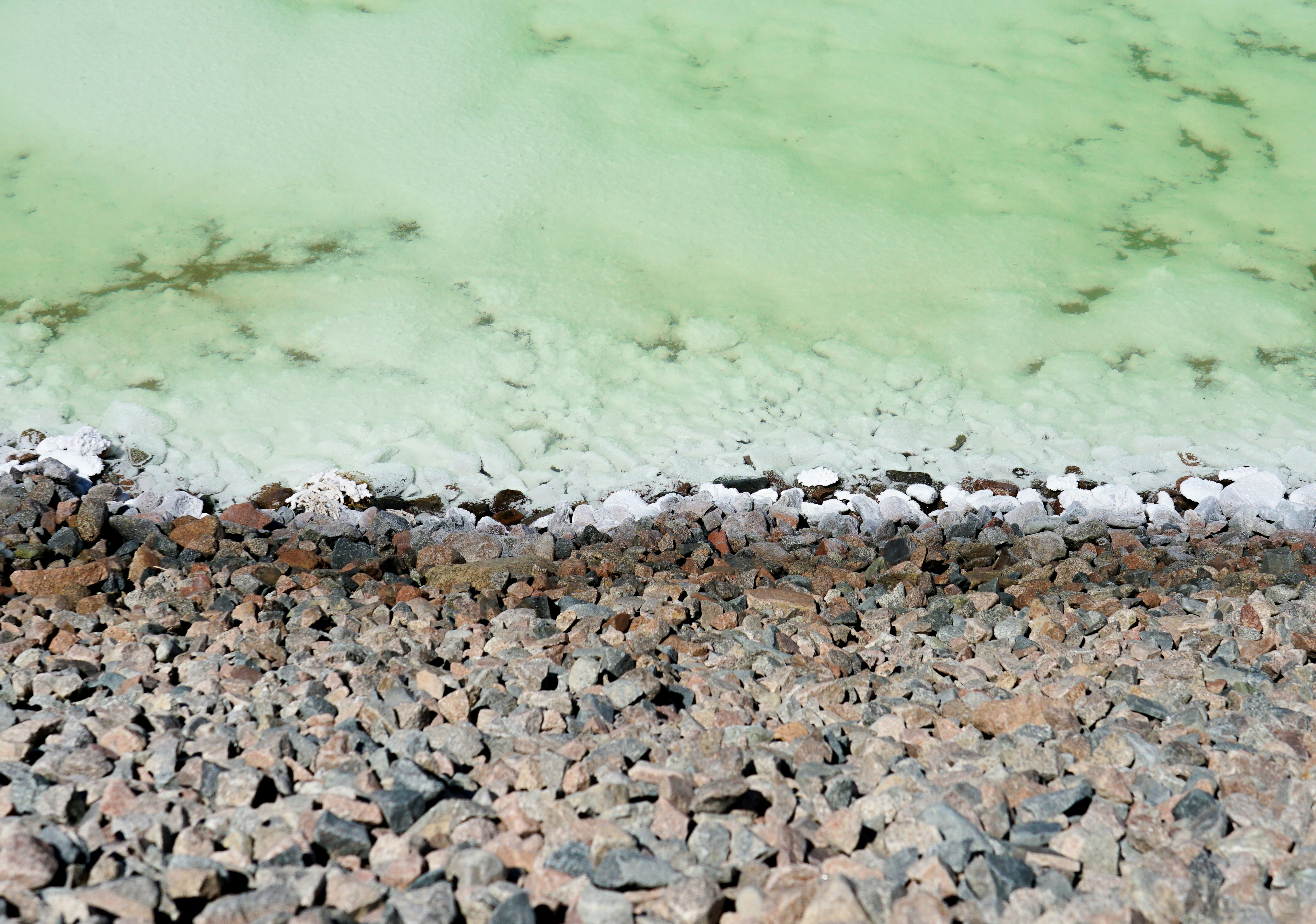 Photo by juniperphoton