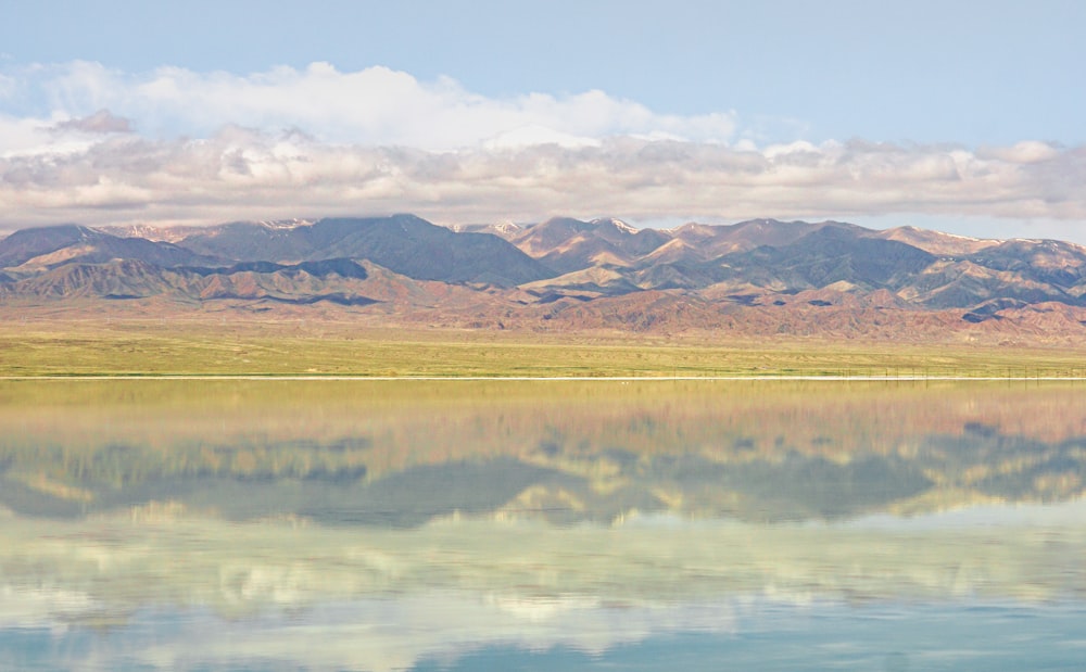 Campo de hierba verde cerca del lago