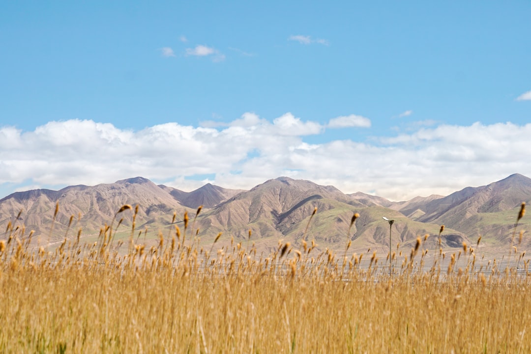brown grass field near mountains under blue sky during daytime