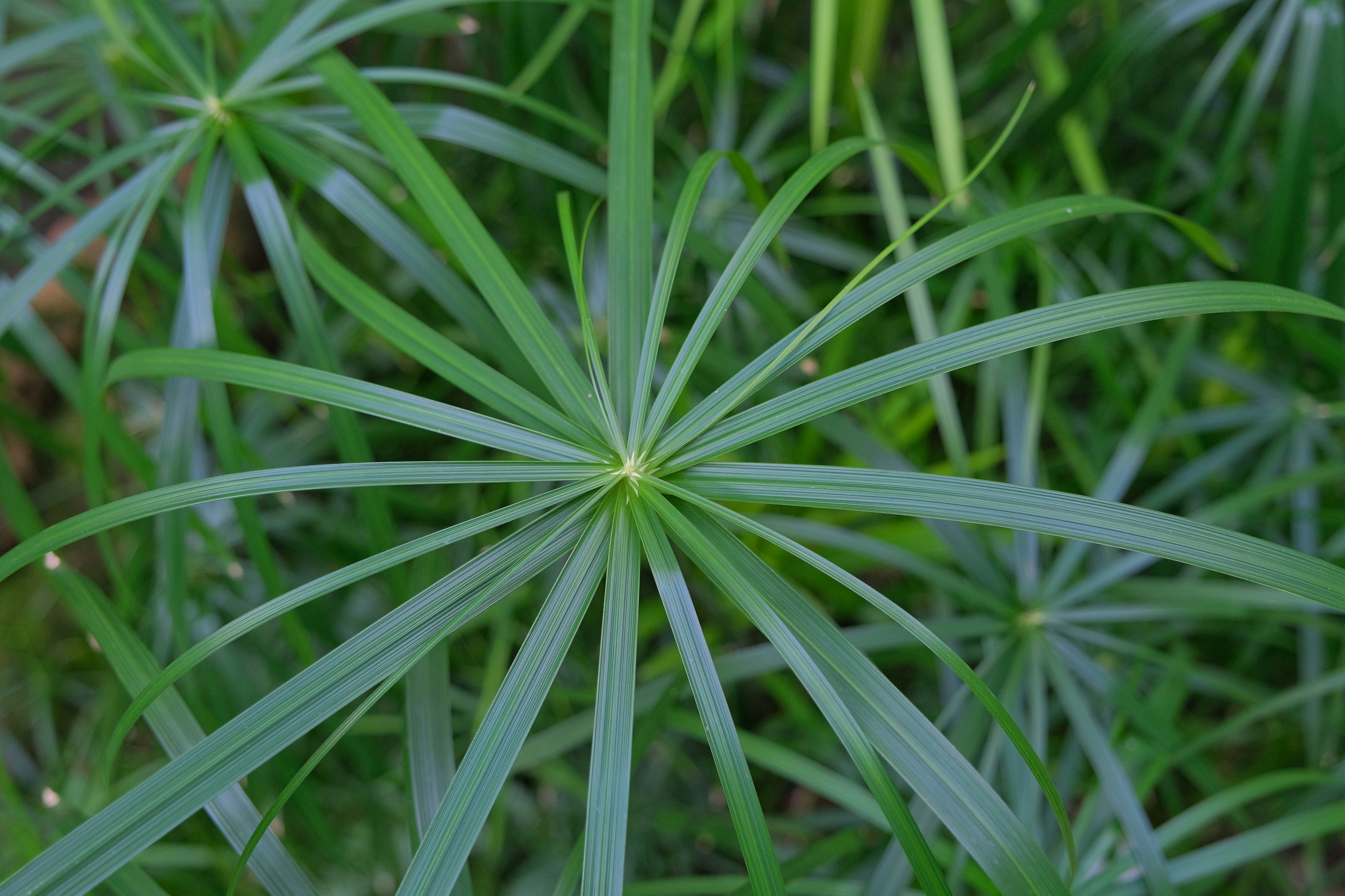 Photo by herrherrmann