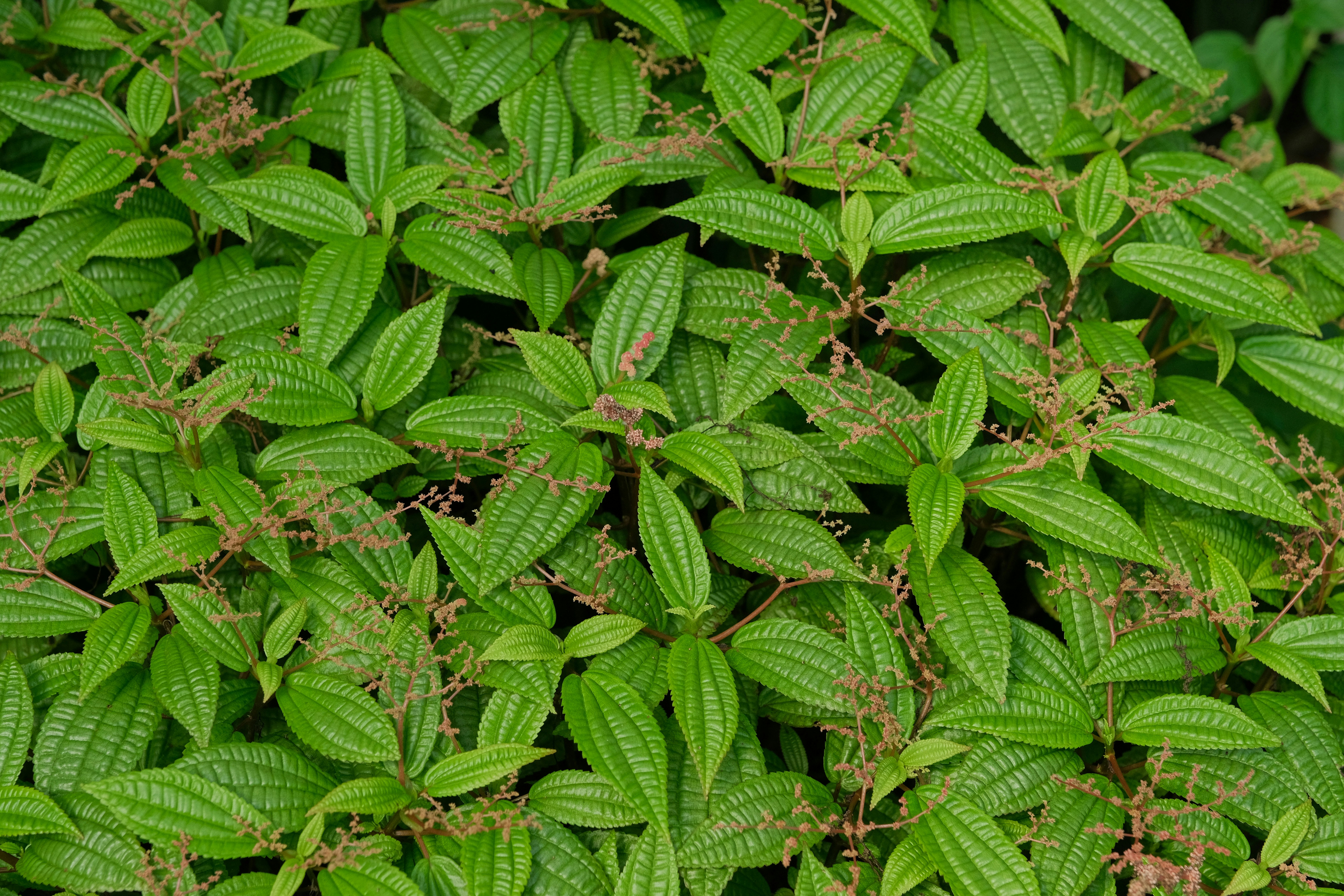 Photo by herrherrmann