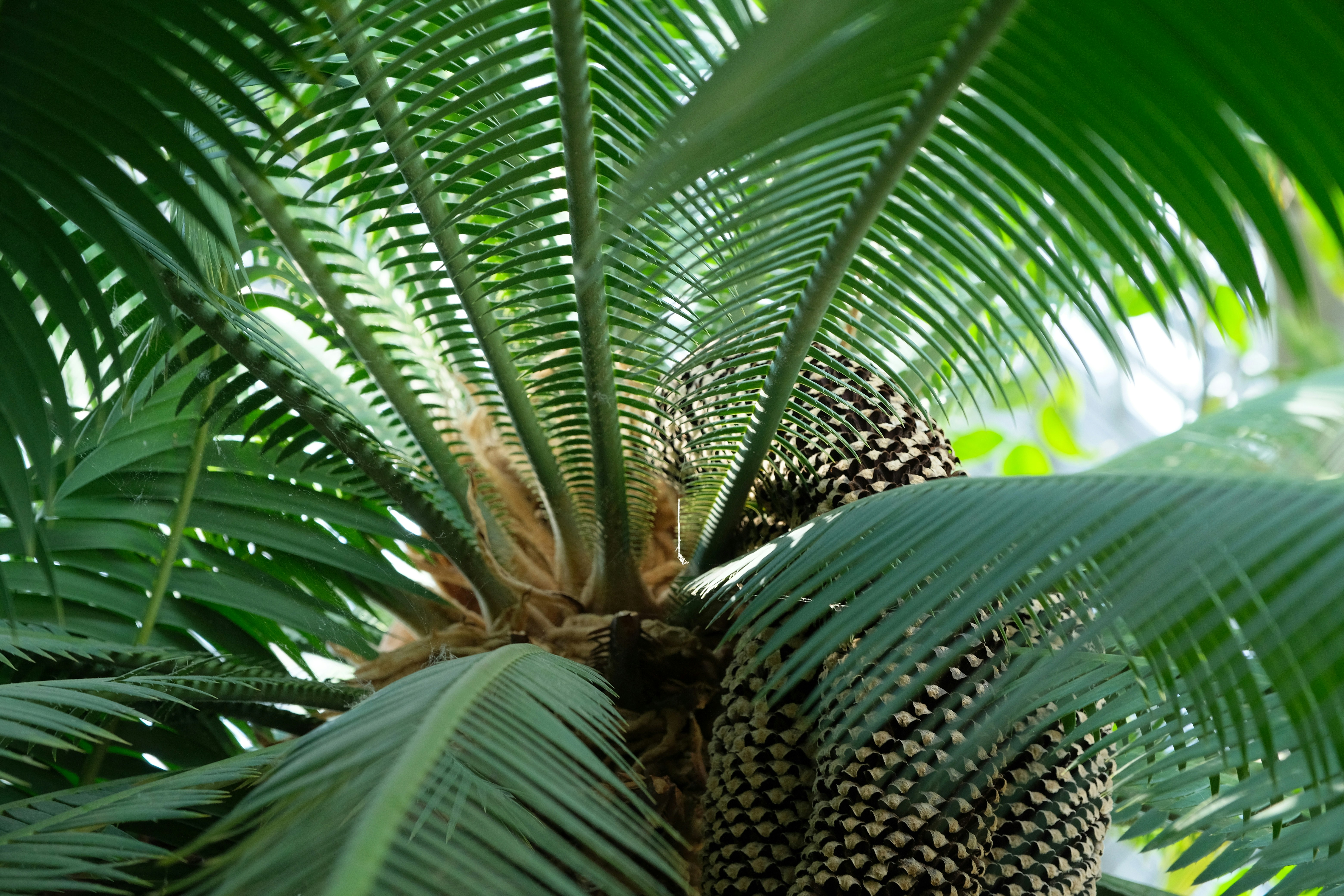 Photo by herrherrmann