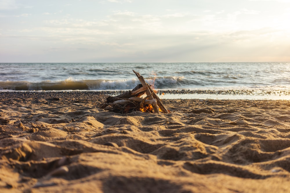 brown wooden boat on brown sand near sea during daytime