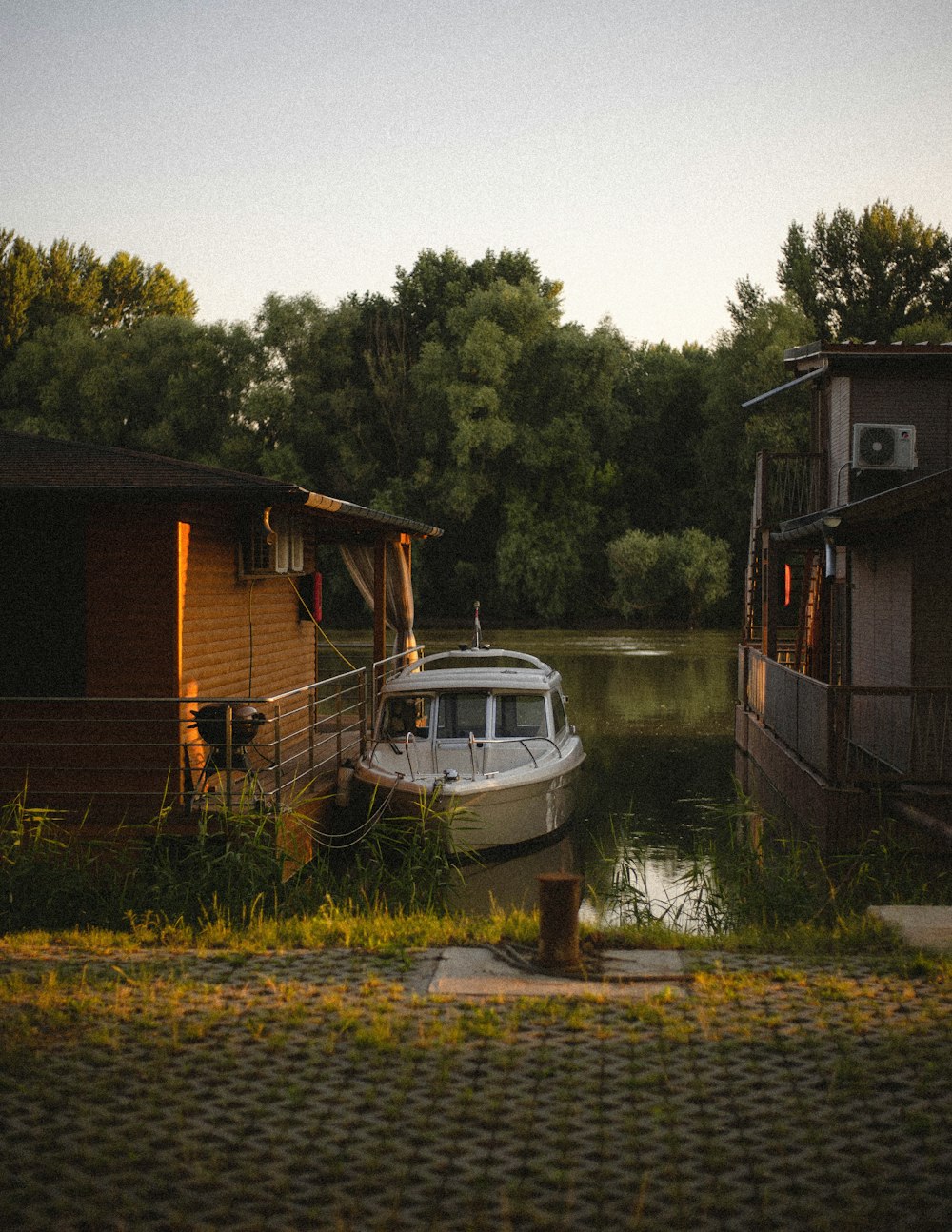 white and red boat on lake near green trees during daytime