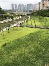 A lush green park with neatly maintained grass and young trees, intersected by winding pathways and a small bridge. In the background, a row of modern high-rise buildings stands, contrasting with the natural scenery. The sky is overcast, adding a subtle, muted light to the scene.