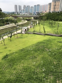 A lush green park with neatly maintained grass and young trees, intersected by winding pathways and a small bridge. In the background, a row of modern high-rise buildings stands, contrasting with the natural scenery. The sky is overcast, adding a subtle, muted light to the scene.