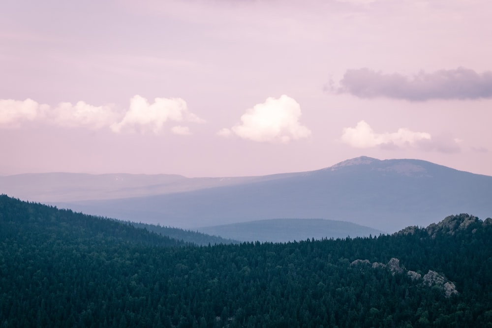 green trees on mountain under white clouds during daytime