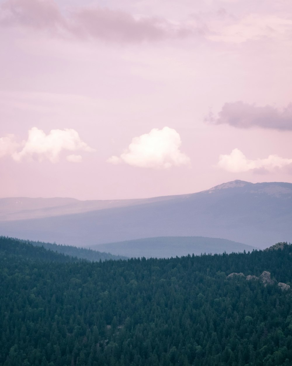 green trees on mountain under white clouds during daytime