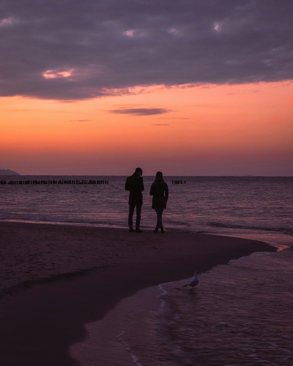 silhouette of 2 person standing on beach during sunset