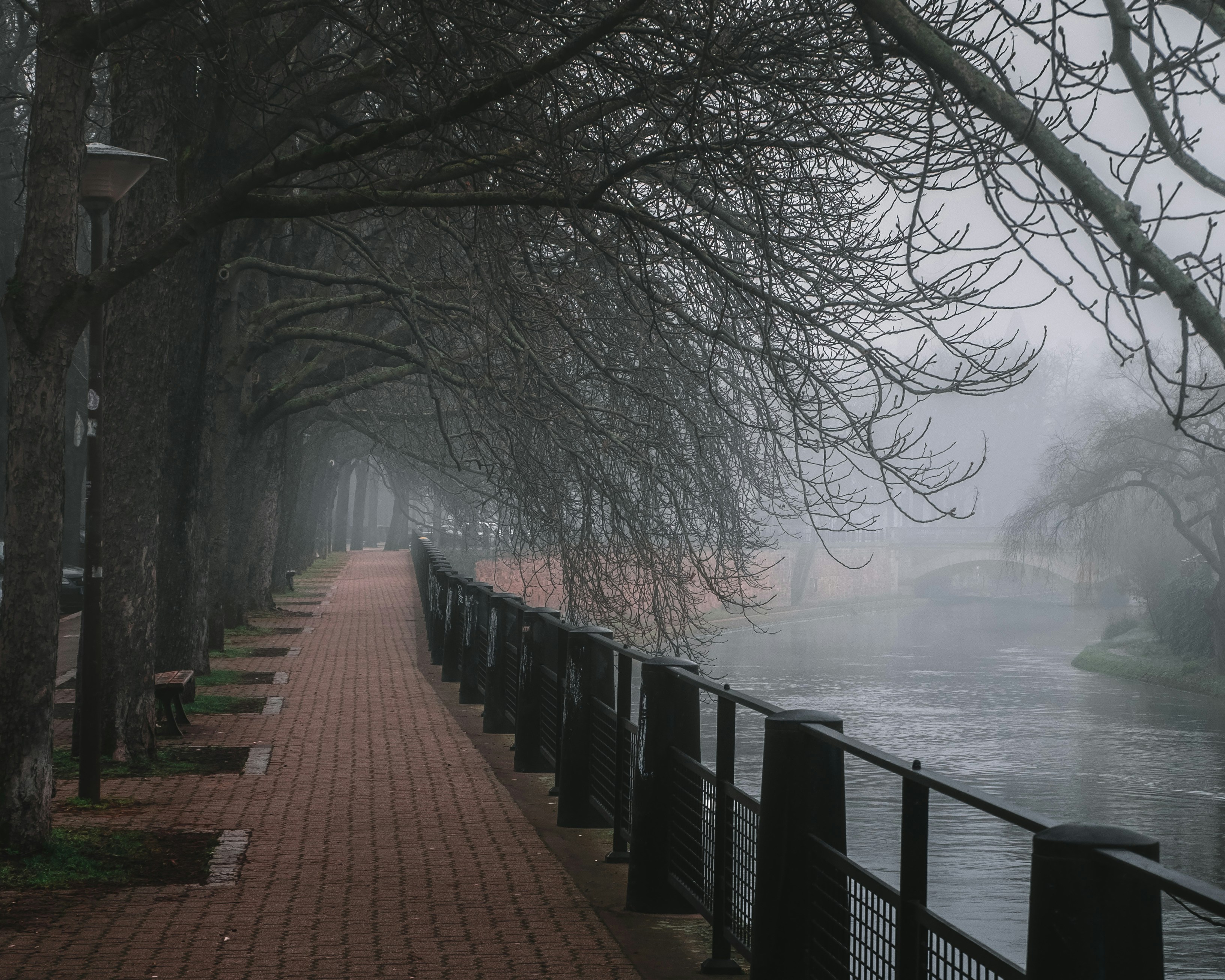 Photo by gleblucky