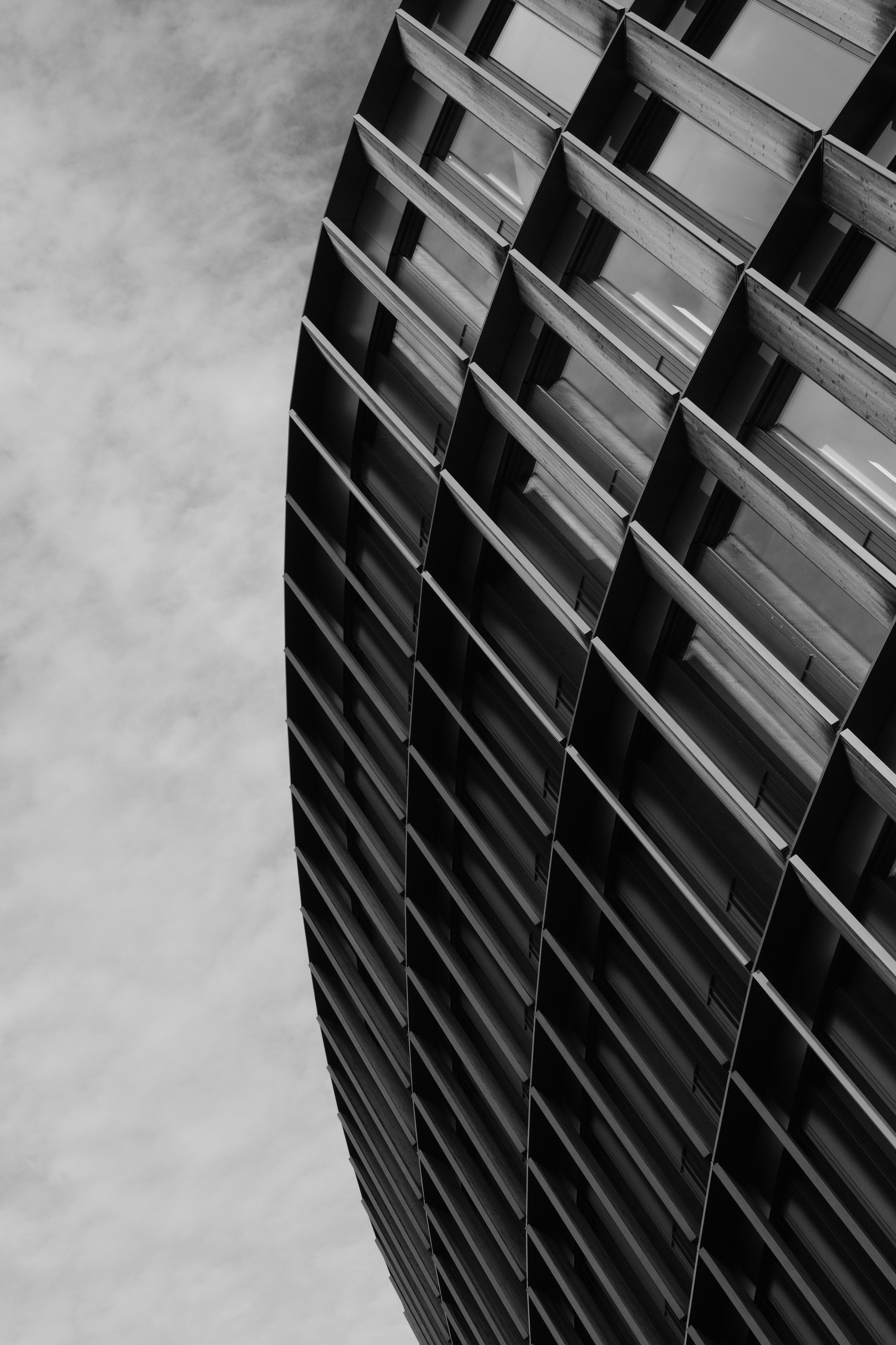 Photo by tassilogroeper