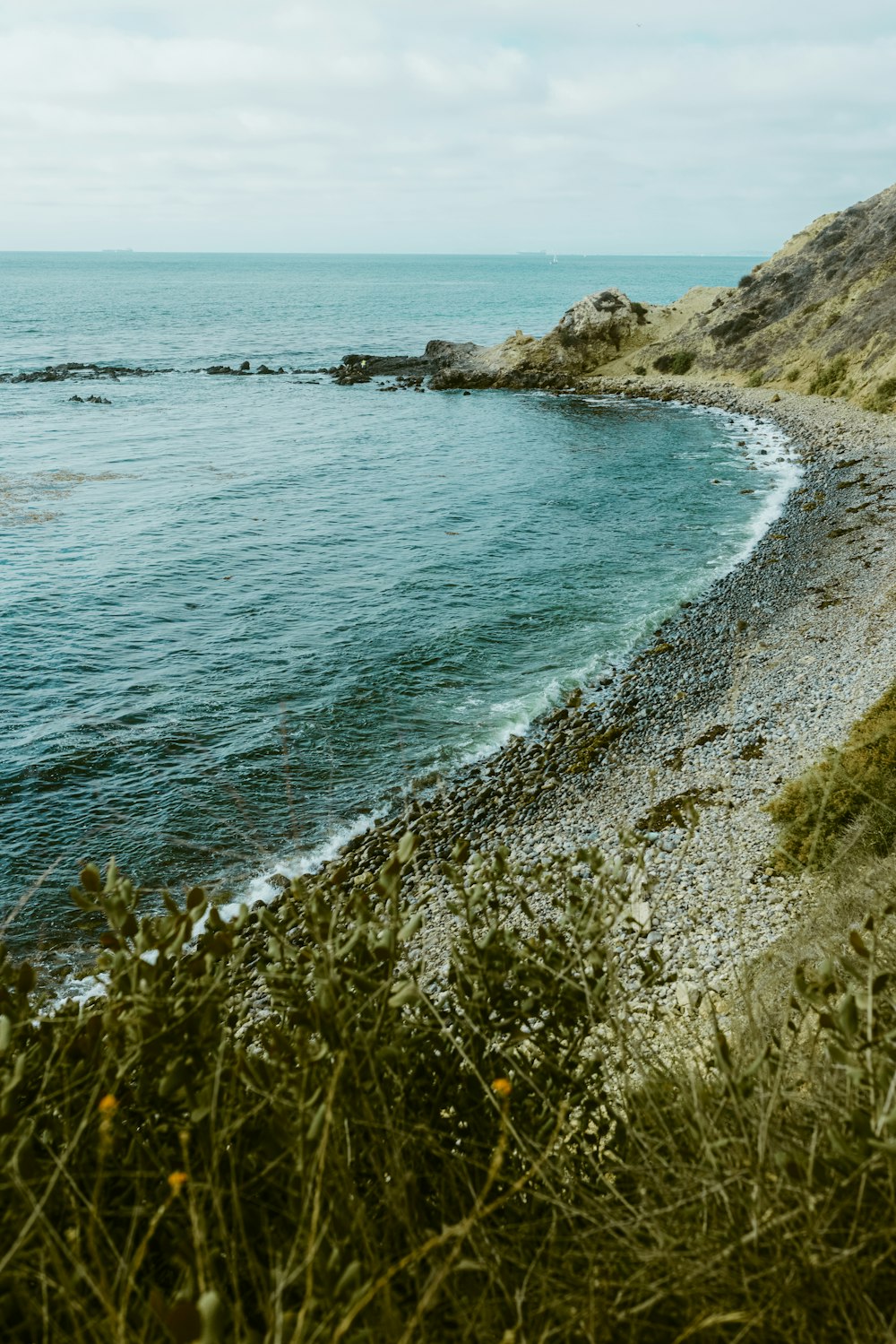 green grass on seashore during daytime