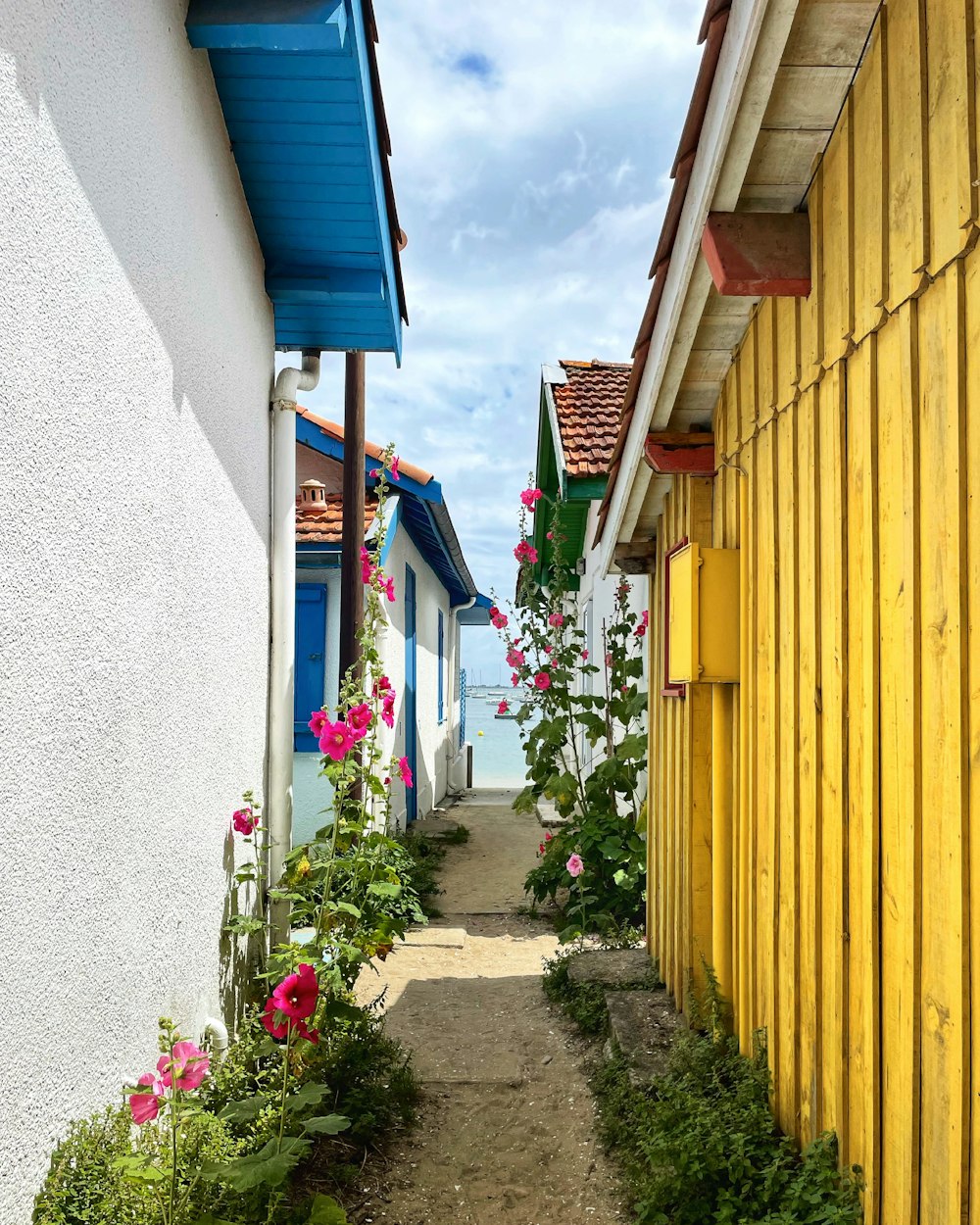 yellow and blue wooden door