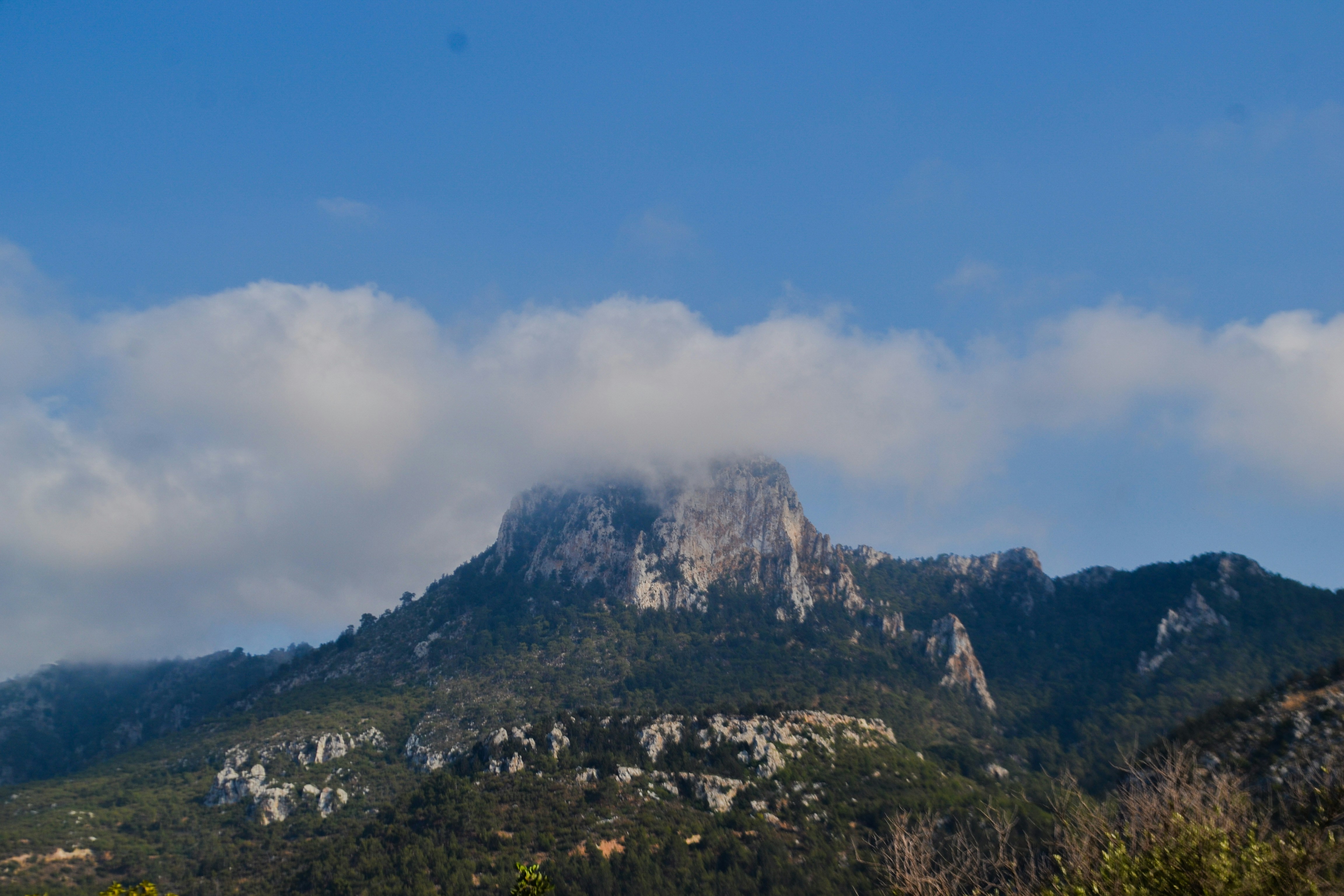 Photo by felixgething