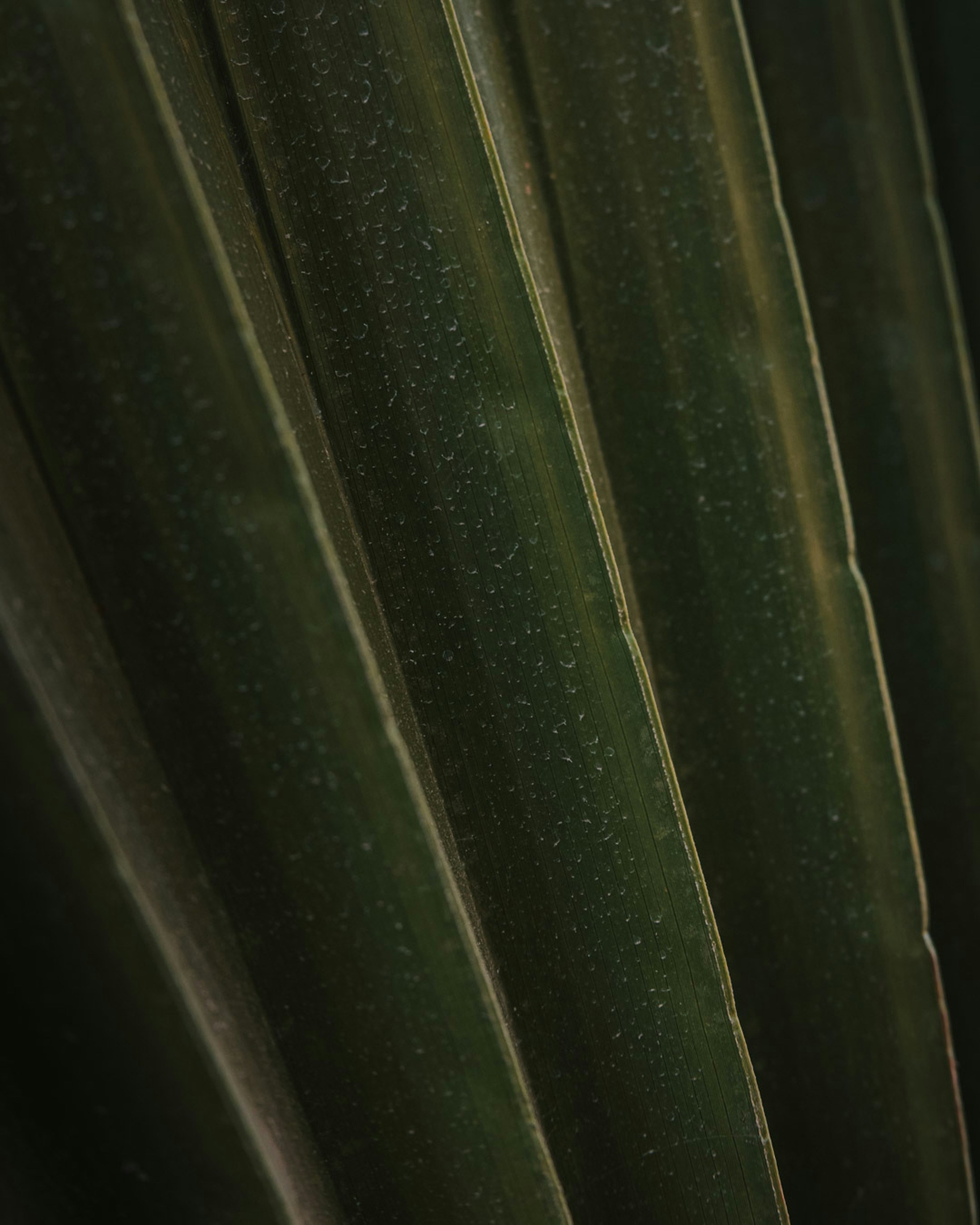 Photo by lazrodriguez__